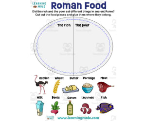 Roman Food Activity