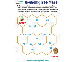 Rounding Bee Maze Activity
