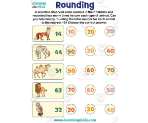 Rounding Down Activity