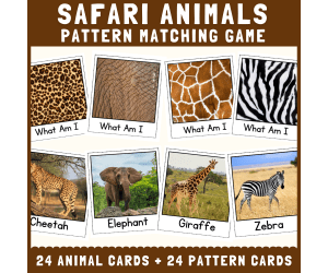 Safari animal skin fur pattern matching cut match science activities