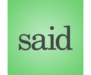 Said Song (Animated Music Video)