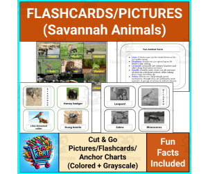 Savanna Animals Flashcards, Animal Facts Charts, and Pictures For K-12