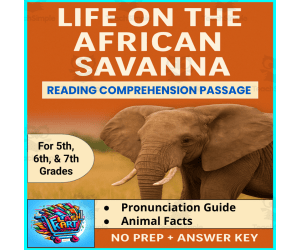 Savannah Animals Reading Comprehension Passage Sub Plan Middle School