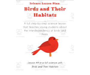 Science Lesson Plan: How Birds and Trees Work Together