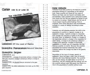 Science Natural Selection Case Study: Use It Or Lose It