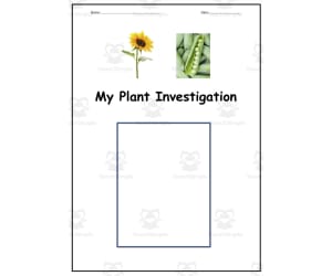Science: Plant Research