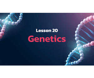 Science Reading Comprehension 20: Genetics PPT