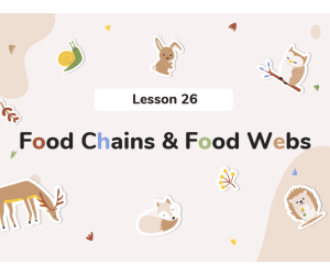 Science Reading Comprehension Passage: Food Chains and Food Webs PPT