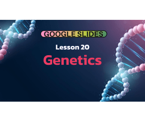 Science Reading Passage 20: Genetics (Google Slides)