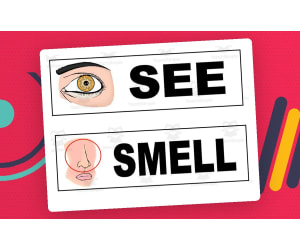 Science Word Wall Picture Cards