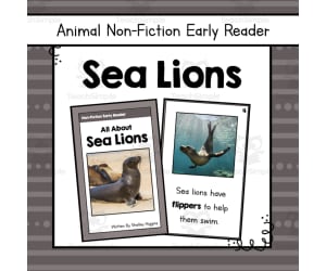 Sea Lions Early Reader Nonfiction Book