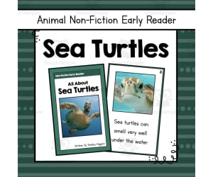Sea Turtles Early Reader Nonfiction Book