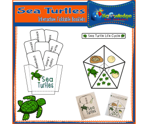 Sea Turtles Interactive Foldable Booklets – EBOOK