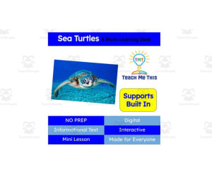 Sea Turtles | Interactive Science Lesson | Micro-Learning Deck