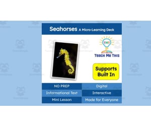 Seahorses | Interactive Science Lesson | Micro-Learning Deck