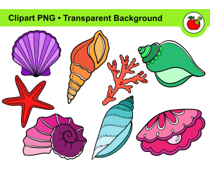 Seashell Clipart – Shell Clipart, Beach Clipart, Summer Clipart