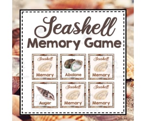 Seashell Memory Game