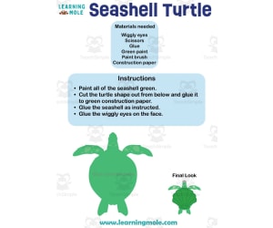 Seashell Turtle Activity