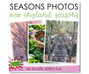 Seasons Photos