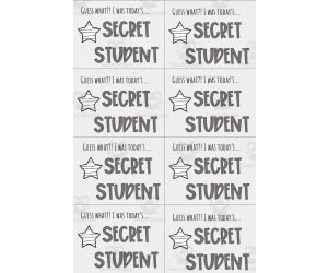 Secret Student