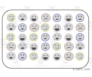 Semantic Themed Activity Boards Set 39: EMOTIONS