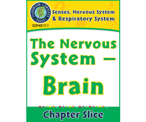 Senses, Nervous & Respiratory Systems: The Nervous System - Brain Gr. 5-8