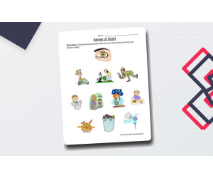 Senses Sight Worksheet
