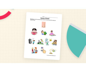 Senses Smell Worksheet