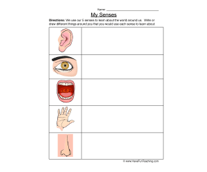 Senses Writing Worksheet