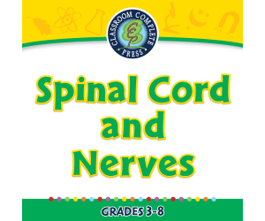 Senses,Nervous & Respiratory Systems: The Nervous System - Spinal Cord and Nerves - FLASH-PC