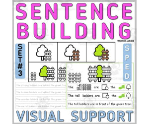 Sentence Building with Visual Structure Task Cards Center 3