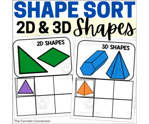 Shape Sort with 2D Shapes and 3D Shapes
