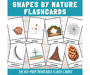 Shapes in nature flashcards, geometric shapes nature forms identifying