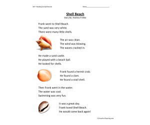 Shell Beach Reading Comprehension Worksheet