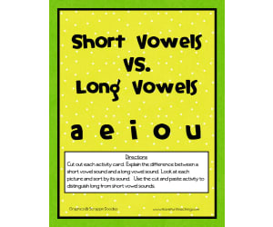 Short and Long Vowels Matching Activity