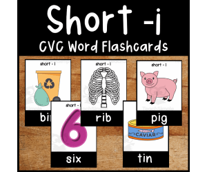 Short -i CVC flashcards