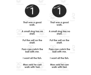 Sight Words + Fluency Sentences Booklet | 1st Grade Reading Street Unit 2