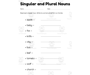 singular and plural nouns worksheet grade 5 with answers
