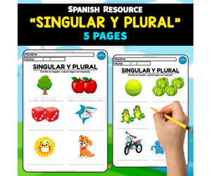 SINGULAR Y PLURAL | Spanish Resource