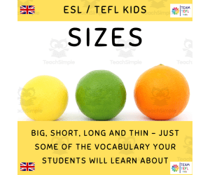 Sizes ESL Lesson Plan For Kids and Early Learners