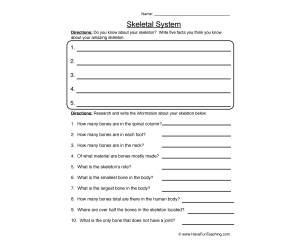 Skeletal System Research Worksheet