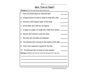Skin True or False Worksheet