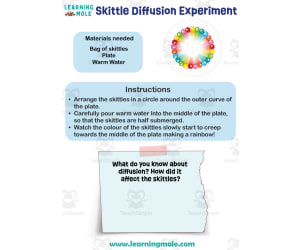 Skittle Diffusion Experiment