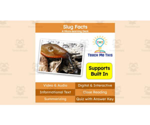 Slugs | Interactive Science Lesson | Micro-Learning Deck