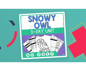 Snowy Owl Unit Study (Arctic Animals Lesson Plan, Videos, Activities)