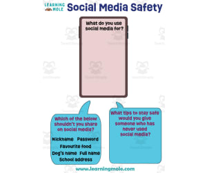 Social Media Safety Activity
