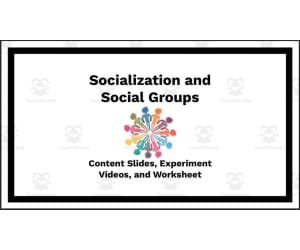 Socialization and Social Groups (Unit Slides, Activity, and Worksheets)