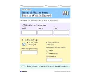 Solid, Liquid, or Gas – States of Matter Sort