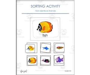 Sorting Activity: Animals - Non-identicals