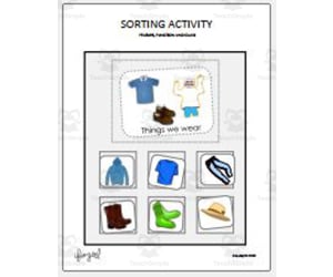 Sorting Activity by Feature, Function, and Class - Large Picture Edition